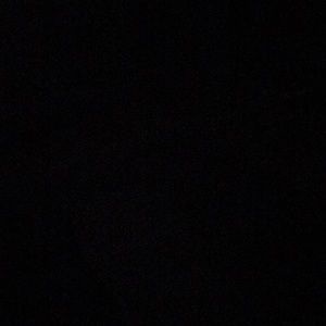 Meet your Posher, Izzy